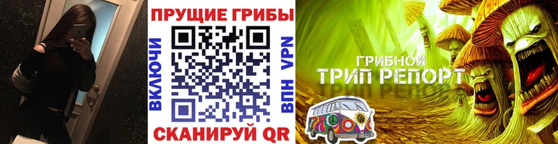 наркотики  Киселёвск  Галлюциногенные грибы Magic Shrooms 